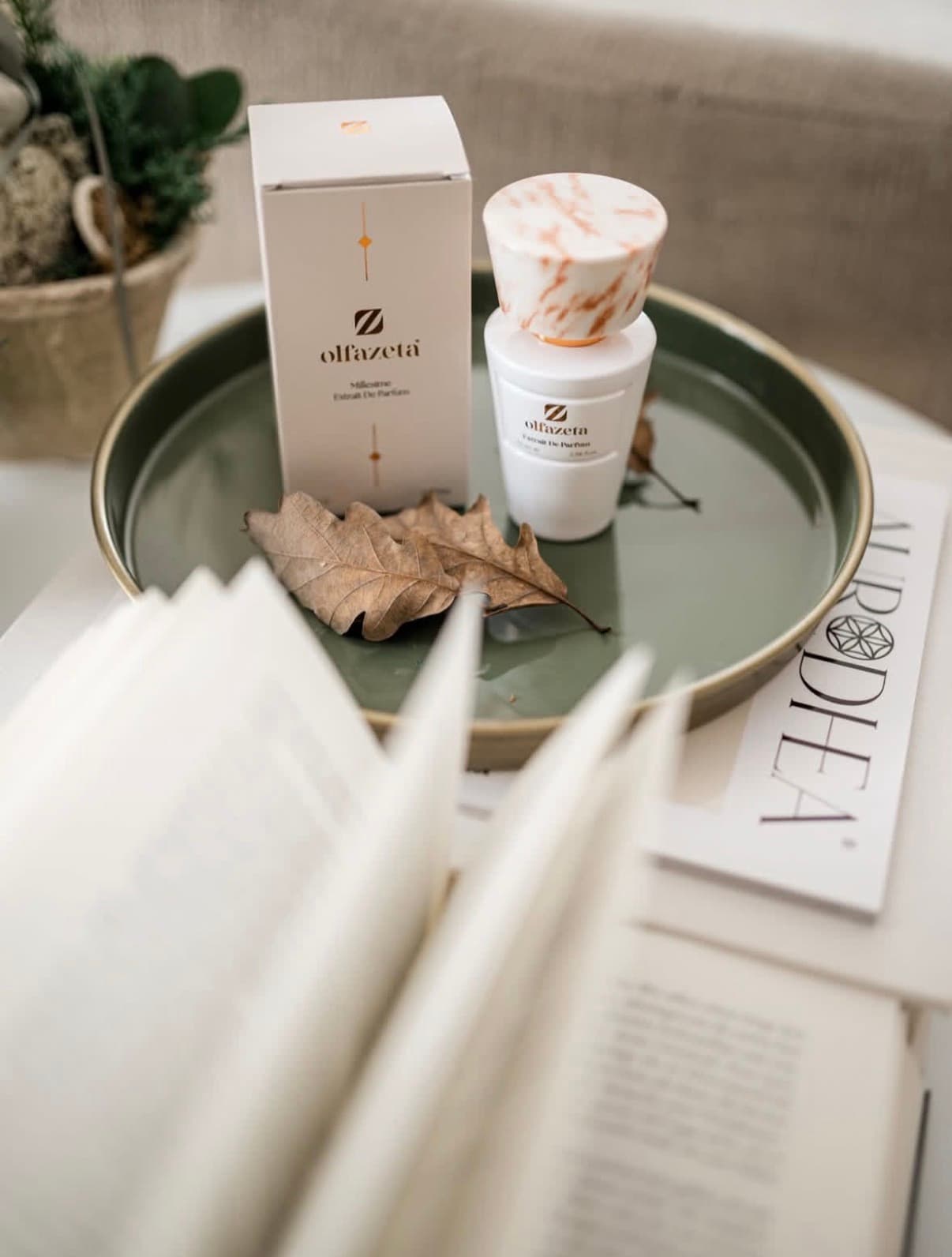 Olfazeta Parfum Lifestyle